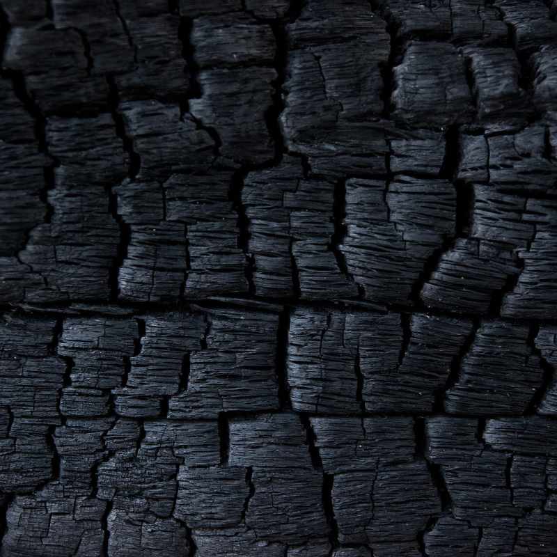Charred Wood Sealer - To seal charred wood