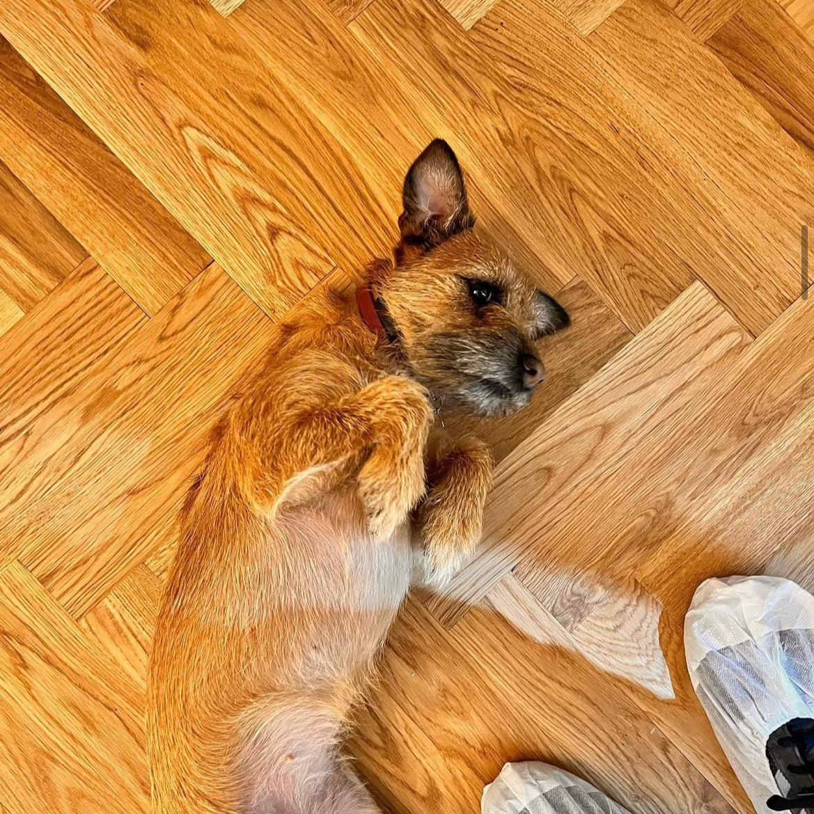 One Coat Wood Oil DUO - Part A (Oil) + Part B (Accelerator Dryer)